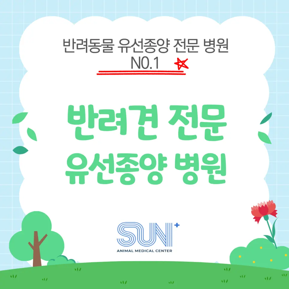 강아지 유선종양 병원 찾으신다면 꼭 읽어보고 가세요