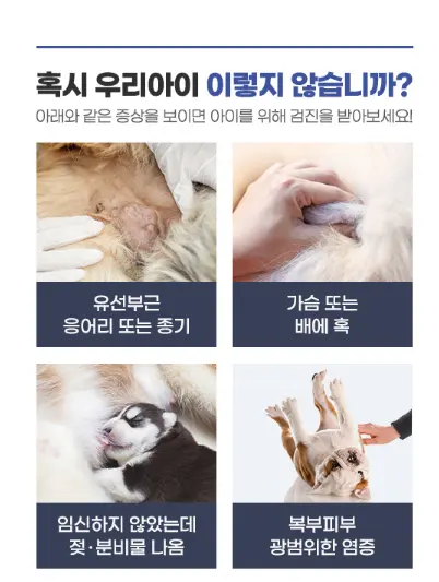 유선 부근 응어리, 가슴이나 배의 혹, 임신이 아닌데 나오는 분비물처럼 검진이 필요한 신호를 모은 이미지