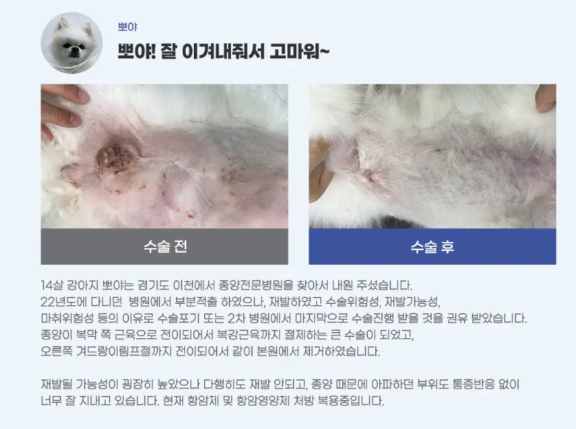 14살 뽀야는 종양이 복강 근육까지 번져 근육을 함께 절제했고, 오른쪽 겨드랑이 림프절도 같이 제거했습니다