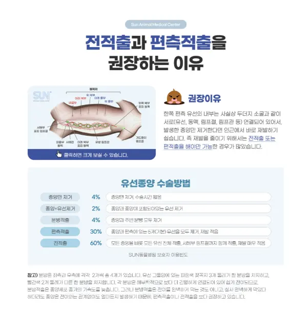 종양만 떼는 방식부터 편측 적출과 전 적출까지 수술 범위별 선택 비율을 정리한 이미지