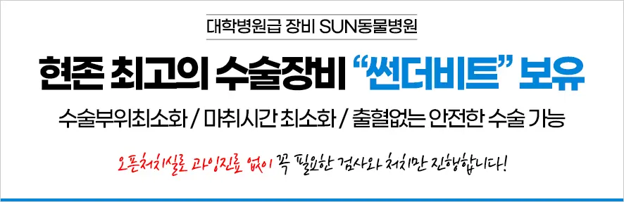 혹시 내 반려견도 유선종양일까요?