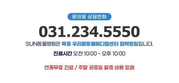 13살 강아지 피부종양