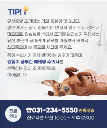 겨드랑이와 사타구니 림프절 상태는 절제 범위를 정할 때 함께 놓고 보는 항목입니다.