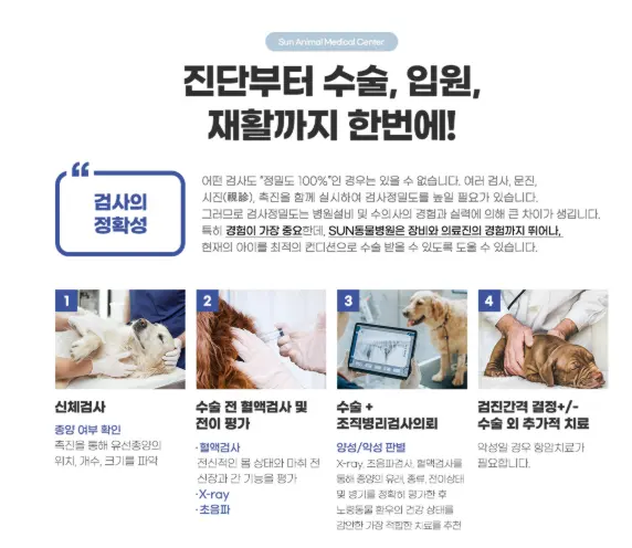 같은 자리라도 촬영 시점이 몇 주만 벌어지면 크기와 경계가 달라 보입니다.