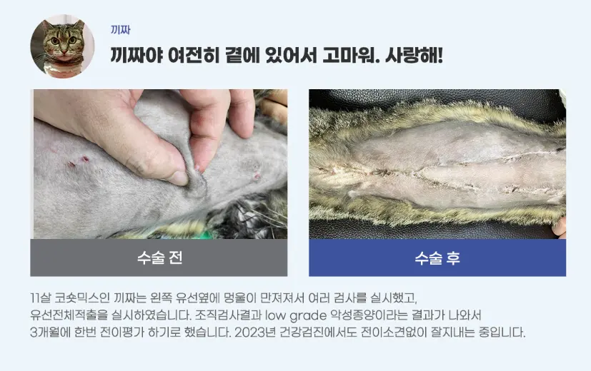 흉부 방사선은 수술 시점에 가까운 사진이 필요해 다시 촬영하는 경우가 많습니다.