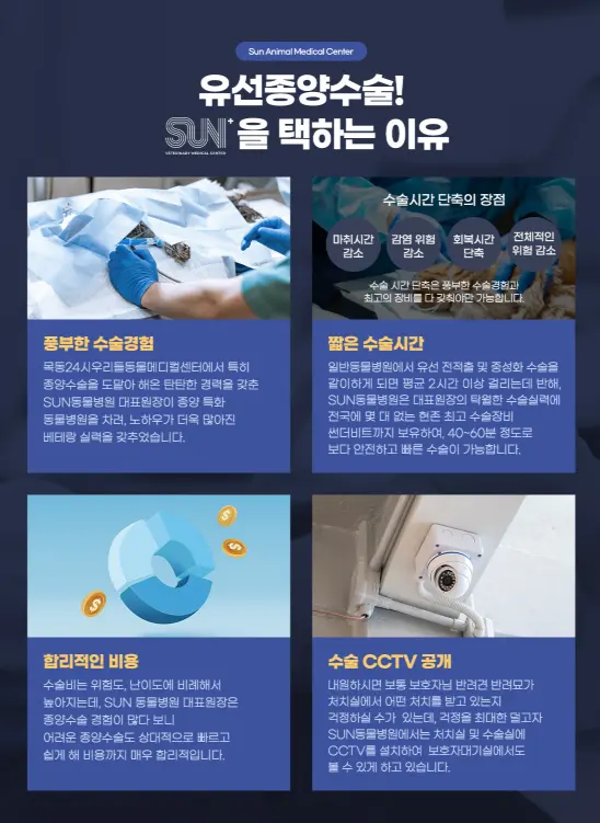 마취 전 심장과 혈액 검사에서 나온 수치가 수술 범위와 순서를 정하는 근거가 됩니다.