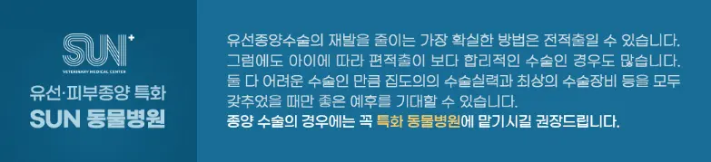 상담에서는 검사 자료를 함께 보면서 왜 그 범위인지를 설명드립니다.