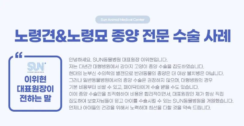 썬동물병원 대표원장 이위현의 인사말 이미지입니다. 대형병원에서 강아지와 고양이 종양 수술을 집도해 온 경력과, 대표원장이 늘 직접 집도한다는 원칙을 밝히고 있습니다.