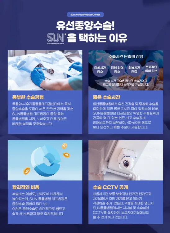 유선종양 수술과 관련해 썬동물병원이 안내하는 항목을 모은 이미지입니다. 수술 경험, 수술 시간을 줄였을 때의 이점, 비용을 다루고 있습니다.