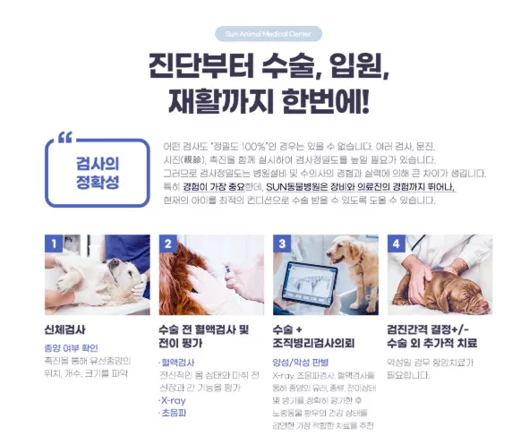 검사부터 수술까지 이어지는 순서를 정리한 안내 이미지입니다. 신체검사로 위치와 개수, 크기를 확인하고 수술 전 혈액검사와 엑스레이, 초음파로 전신 상태를 평가한 뒤, 수술과 조직병리검사를 거쳐 다음 검진 간격을 정합니다.