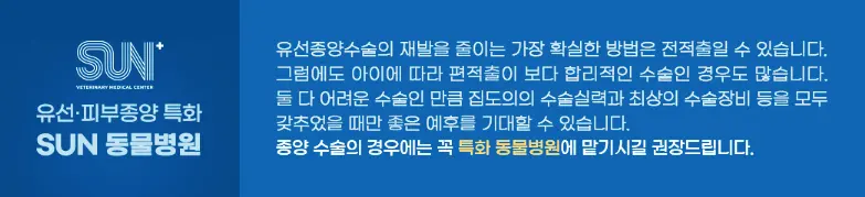 수원 권선구 동물병원 안심할 수 있는 선택지가 있으니까