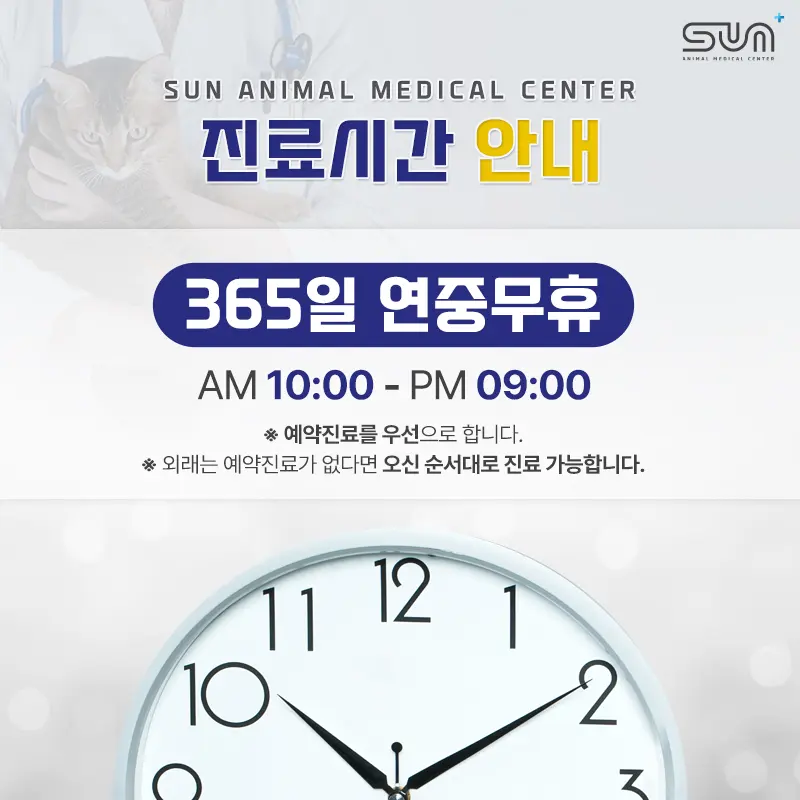 수원 sun동물병원 오시는 길 안내🚗