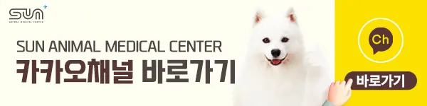 수원 sun동물병원 오시는 길 안내🚗